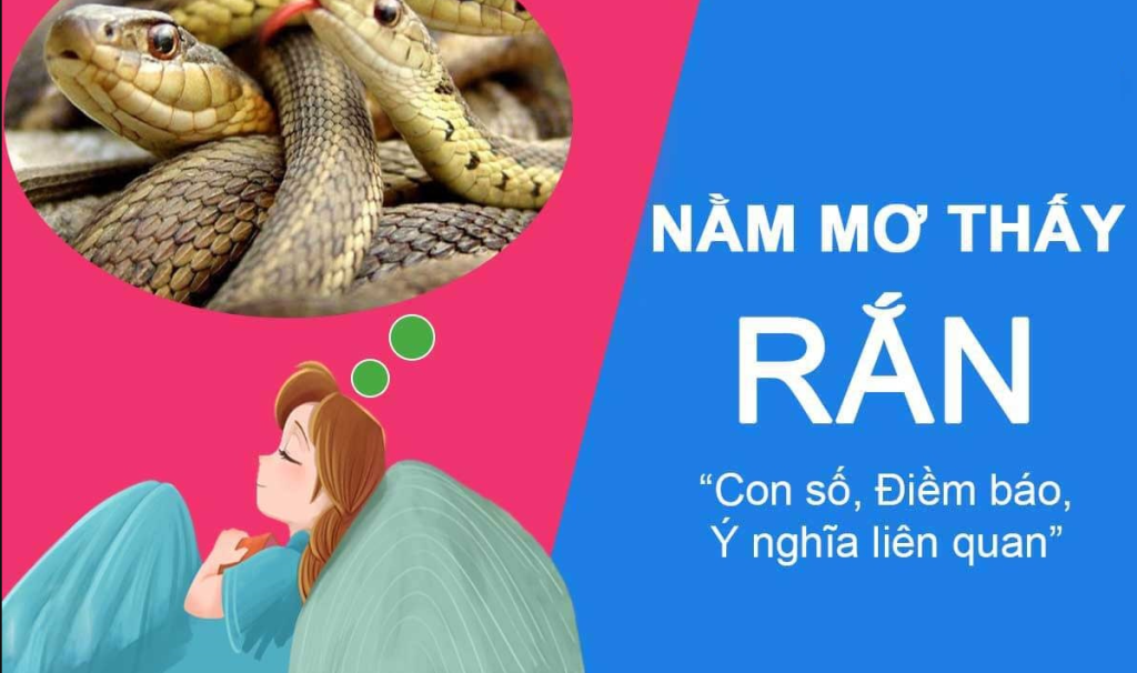 Nằm Mơ Thấy 2 Con Rắn Đánh Con Gì Nhanh Giàu