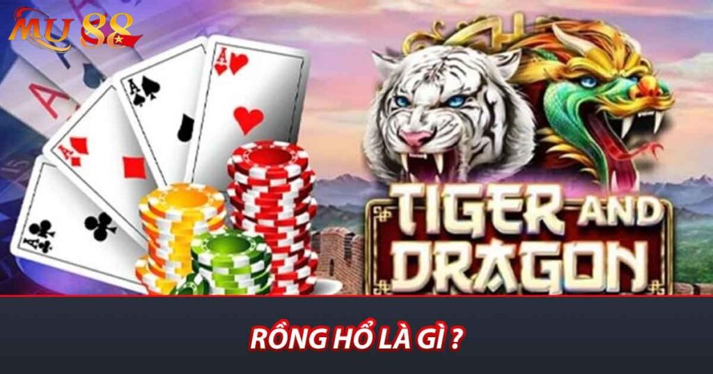 Rồng hổ là gì ?